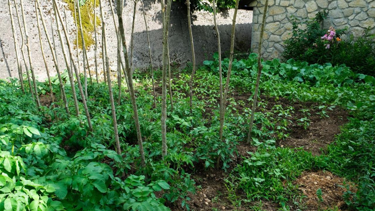 Prevalis Nature Cottage فيربازار المظهر الخارجي الصورة