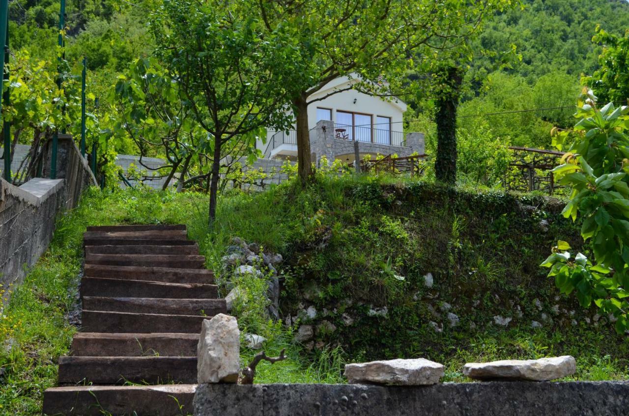 Prevalis Nature Cottage فيربازار المظهر الخارجي الصورة