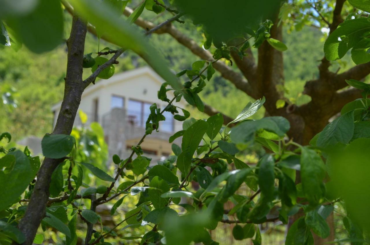 Prevalis Nature Cottage فيربازار المظهر الخارجي الصورة